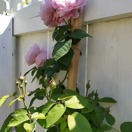 La Des Augustins * Baurech