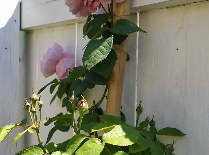 La Des Augustins * Baurech