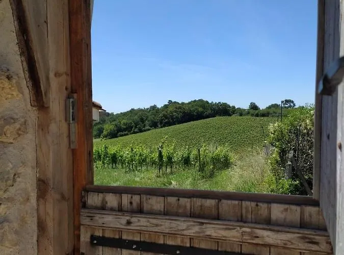 Lejlighed La Des Augustins *